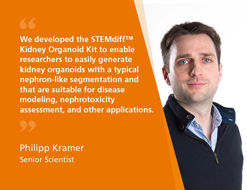 STEMdiff™ Kidney Organoid Kit