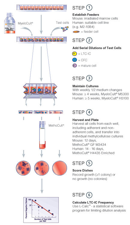 Limiting dilution LTC-IC assay