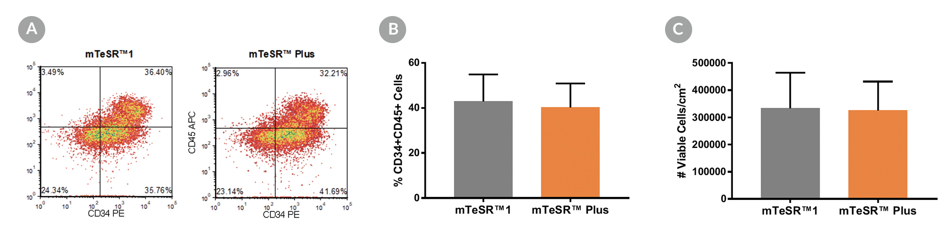 Density plots showing CD34+ and CD45+ expression and percentage of cells co-expressing CD34+ and CD45+ and graphs showing total number of viable cells harvested.