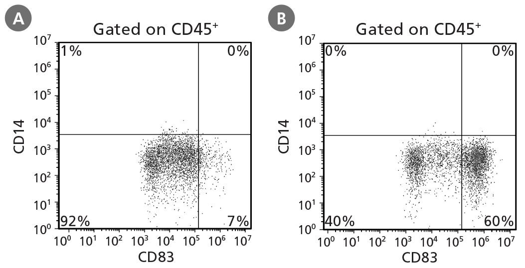 Characterization of Dendritic Cells