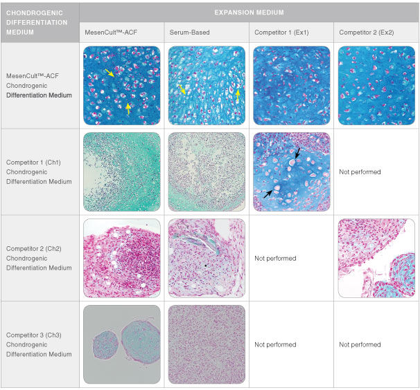 Chondrogenic Differentiation of Human MSCs Is More Robust With Fewer Hypertrophic Chondrocytes Using MesenCult™-ACF Chondrogenic Differentiation Medium Compared to Competitor Media