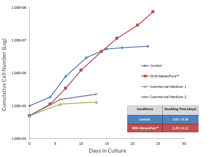 Procedure Summary for Hematopoietic CFU Assays