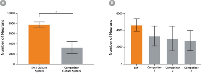 Neurite Branching of Primary Neurons Cultured in NeuroCult™ SM1 and TSFM for 7 and 21 Days