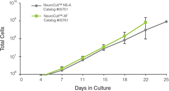 NSCs cultured in NeuroCult™-ACF Proliferation Medium maintain multi-lineage potential in long-term cultures