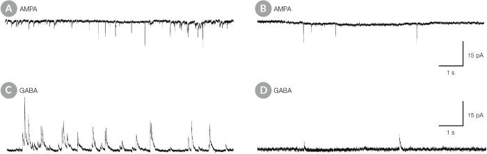 hPSC-Derived Neurons Matured in BrainPhys™ Neuronal Medium Show Improved Excitatory and Inhibitory Synaptic Activity