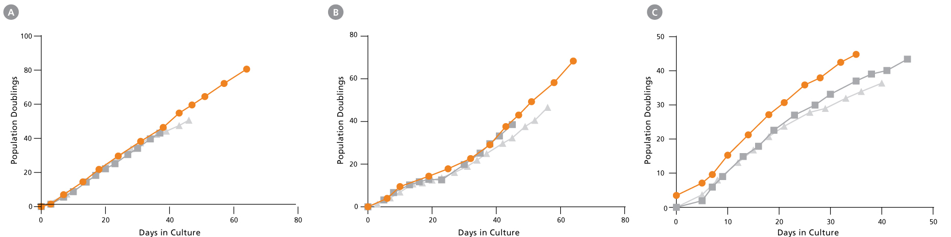 EpiCult™ Plus Enables the Long-Term Growth of Epithelial Stem Cells From Prostate and Mammary Tissues