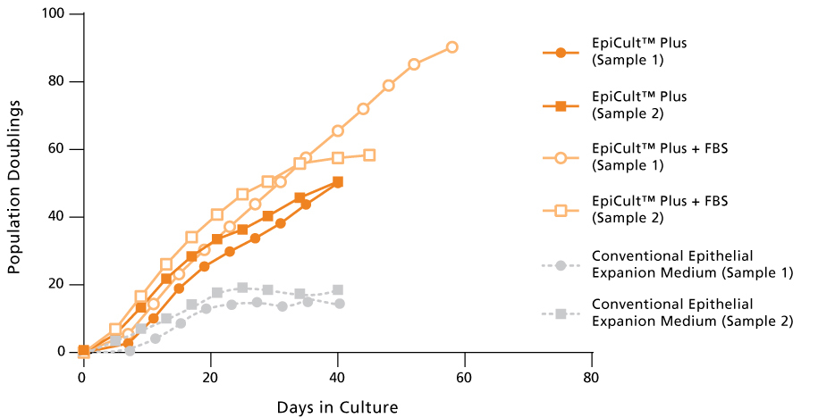 Human Mammary Epithelial Cells Expand More Rapidly When Cultured in EpiCult™ Plus Compared to Conventional Epithelial Cell Expansion Media