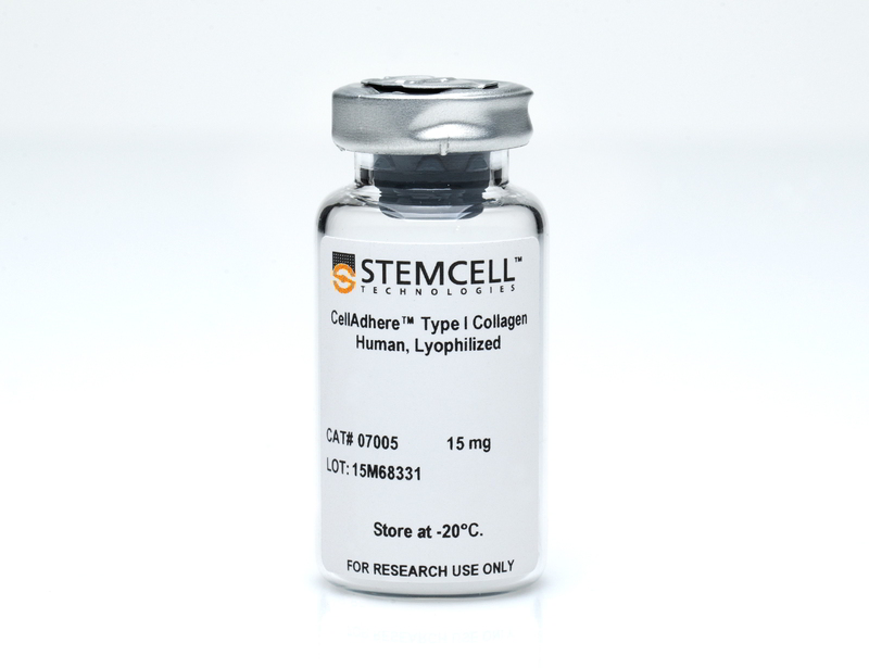 CellAdhere™ Type I Collagen, Human, Lyophilized