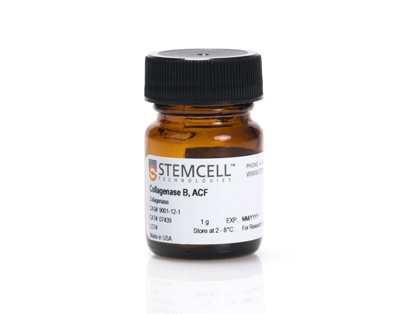 Collagenase B, ACF