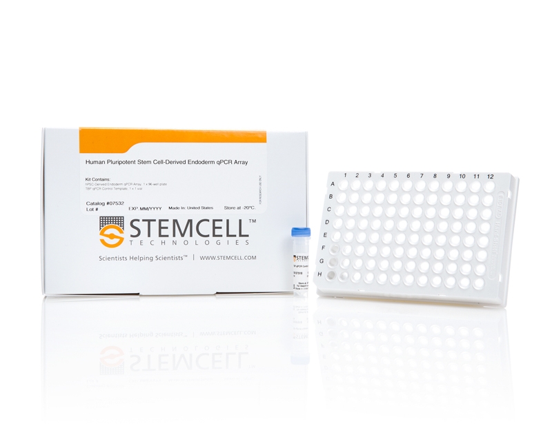 Human Pluripotent Stem Cell-Derived Endoderm qPCR Array