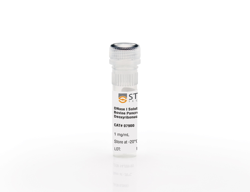 DNase I Solution (1 mg/mL)