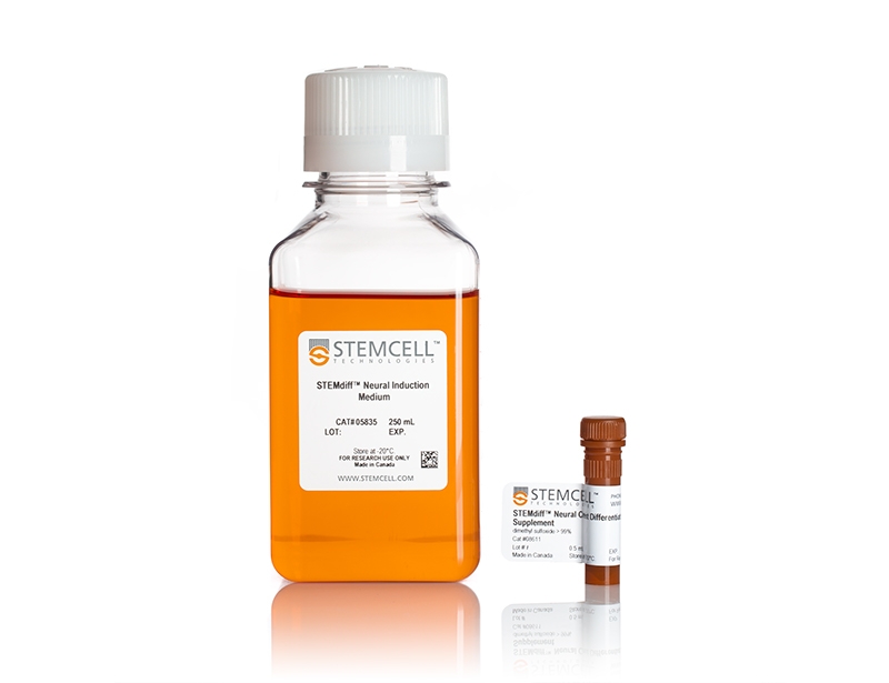 STEMdiff™ Neural Crest Differentiation Kit