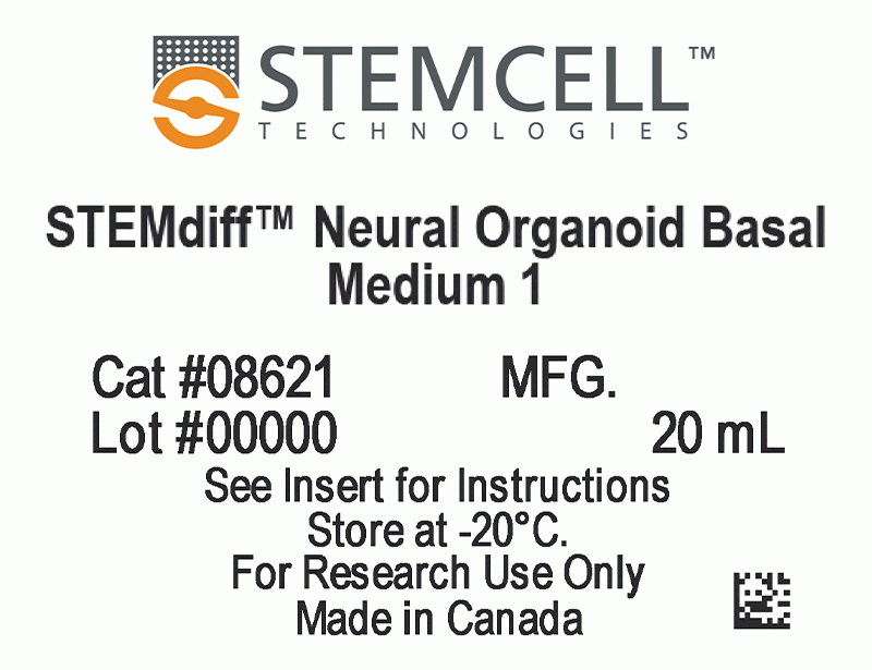 STEMdiff™ Dorsal Forebrain Organoid Differentiation Kit