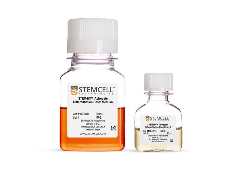 STEMdiff™ Astrocyte Differentiation Kit