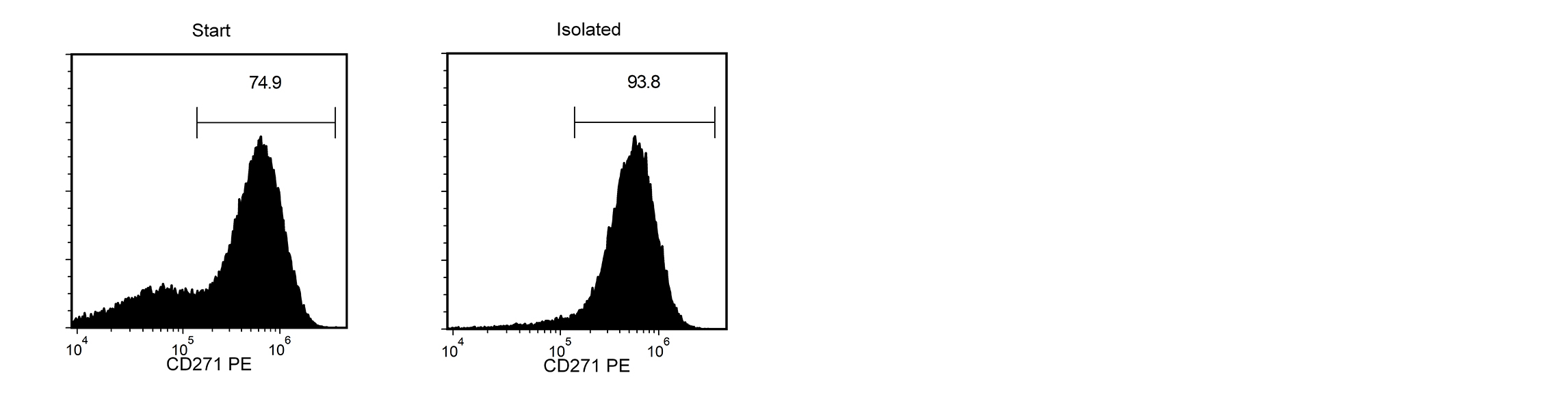 A H9 cell-derived cell suspension assessed for CD271-PE. The the start and final isolated fractions are 74.9% and 93.8% pure.