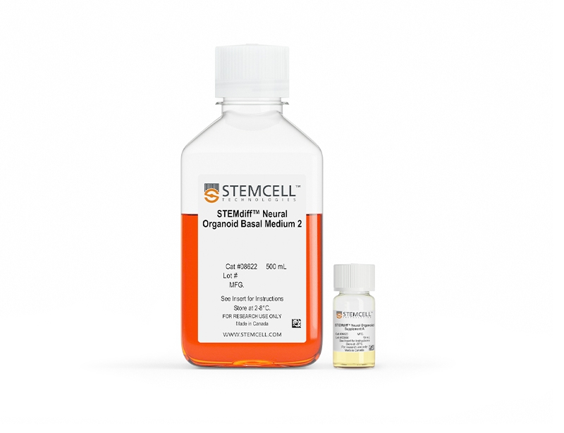 STEMdiff™ Neural Organoid Maintenance Kit