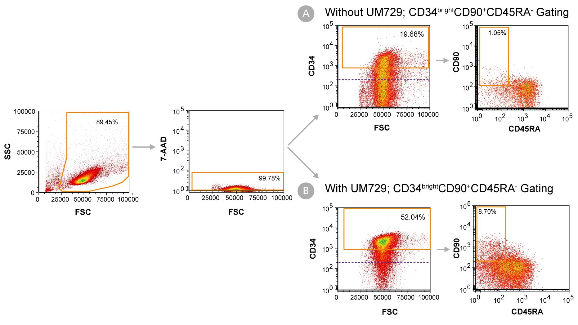 Day 7 Immunophenotyping of CD34+ Cells Cultured in StemSpan™-AOF