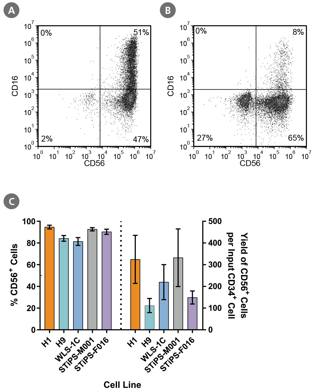 CD56+ NK Cells Characterization, Frequency, and Yield