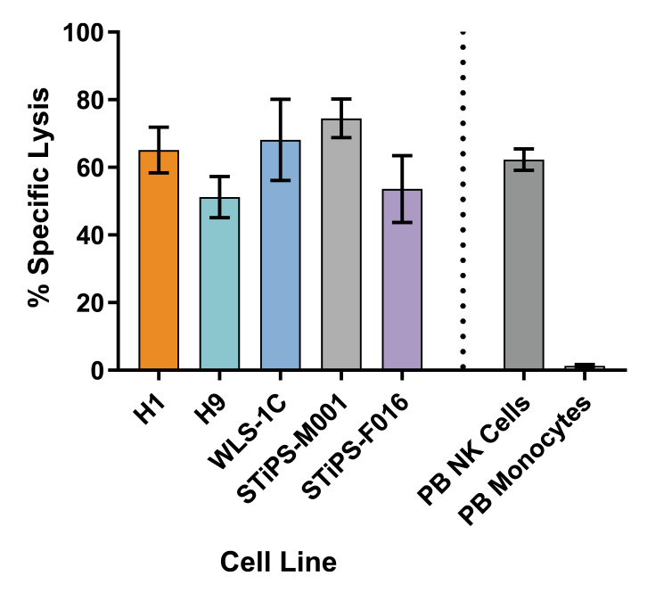 Analysis of Specific Lysis by Cultured NK Cells