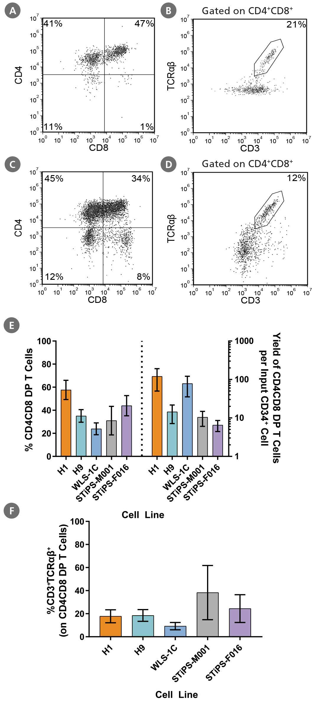 CD4CD8 Double-Positive T Cell Characterization, Frequency, and Yield