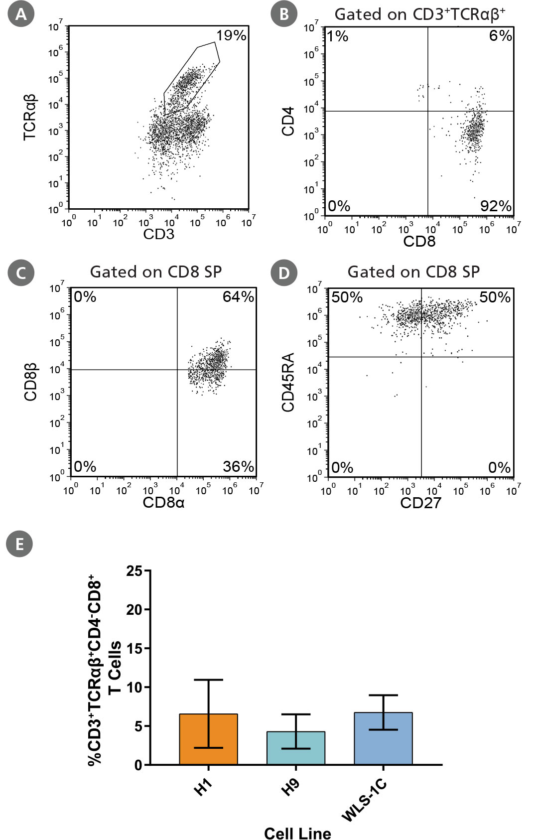 CD3+TCRαꞵ+CD4-CD8+ (CD8 SP) T Cells Characterization and Frequency