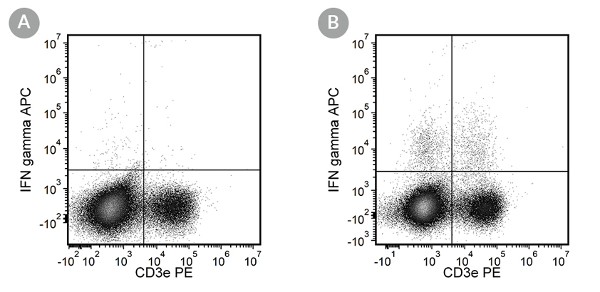 Figure showing flow cytometry analysis of anti-mouse IFN-gamma antibody Clone XMG1.2, APC, and anti-mouse CD3e antibody, clone 145-2C11, PE.