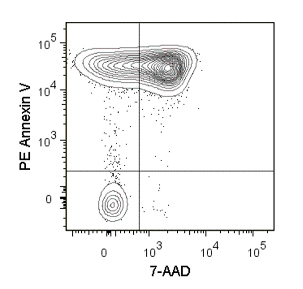 Figure showing flow cytometry analysis of Con A-stimulated (3 days) C57BL/6 mouse splenocytes labeled with Anti-Mouse CD152 (CTLA-4) Antibody, Clone UC10-4F10-11, followed by a goat anti-Armenian hamster IgG antibody, FITC or an Armenian hamster IgG isotype control antibody, followed by a goat anti-Armenian hamster IgG, FITC.