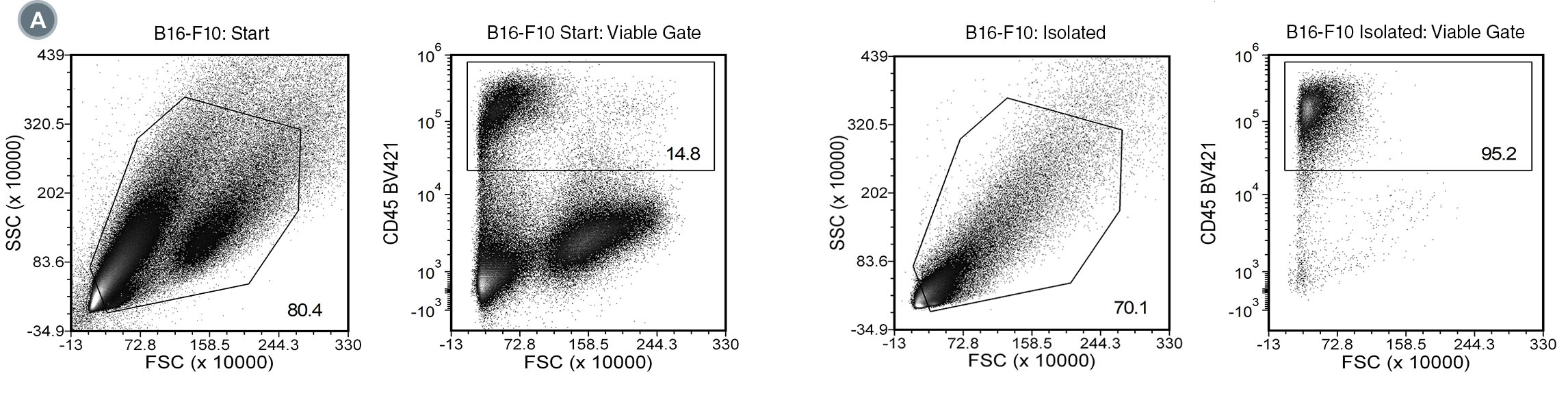 Using the EasySep™ Mouse TIL (CD45) Positive Selection Kit, the CD45+ TIL purities of the start and final isolated fractions are 14.8% and 95.2%, respectively for B16-F10 tumor single-cell suspension, 37.6% and 93.0%, respectively for 4T1 tumor single-cell suspension, and 32.3% and 84.6%, respectively for CT26.WT tumor single-cell suspension.