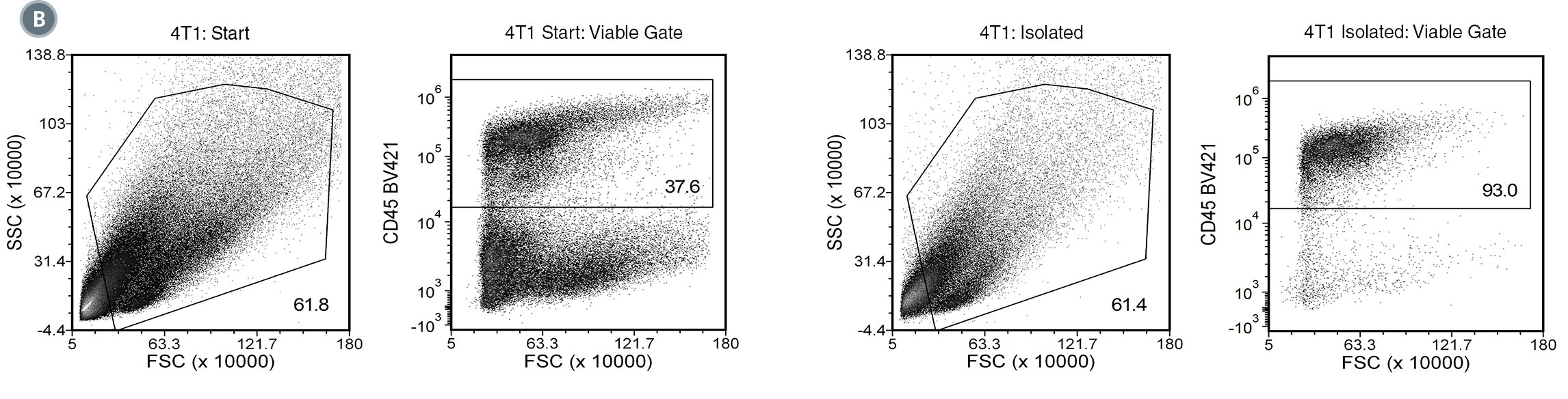 Using the EasySep™ Mouse TIL (CD45) Positive Selection Kit, the CD45+ TIL purities of the start and final isolated fractions are 14.8% and 95.2%, respectively for B16-F10 tumor single-cell suspension, 37.6% and 93.0%, respectively for 4T1 tumor single-cell suspension, and 32.3% and 84.6%, respectively for CT26.WT tumor single-cell suspension.