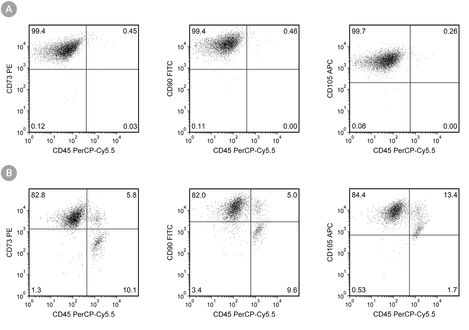 Flow cytometry dot plots comparing the difference in expression of CD45, CD73, CD90, and CD105 in human bone marrow-derived mesenchymal stromal cells (MSCs) labeled with the hMSC CD45/CD73/CD90/CD105 Antibody Panel and cultured either in MesenCult™-ACF Plus Medium or in serum-containing medium.