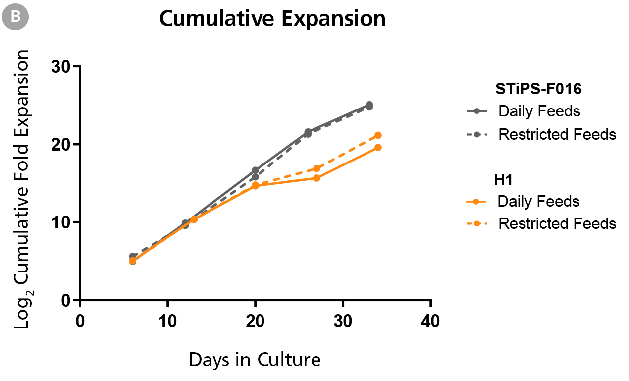 hPSCs Maintained in TeSR™-AOF with Daily and Restricted Feed Schedules have Comparable Expansion Rates