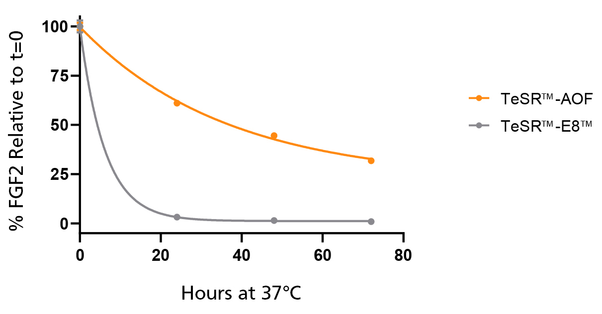 Native bFGF Levels are Stabilized at 37°C in TeSR™-AOF