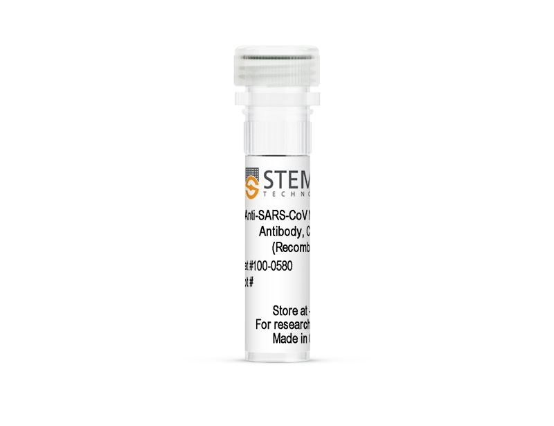 Anti-SARS-CoV Nucleoprotein Antibody, Clone 001 (Recombinant)