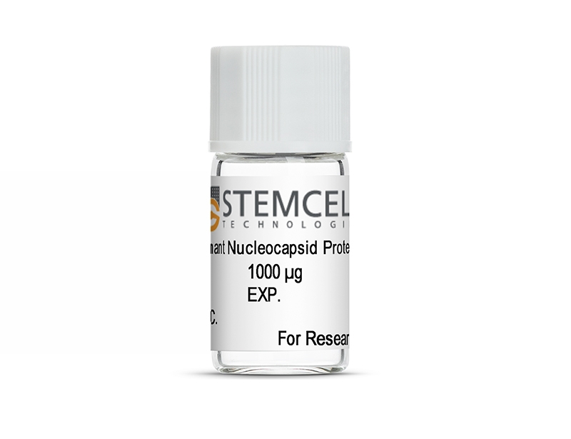 SARS-CoV-2 Recombinant Nucleocapsid Protein, aa1-419 (E. coli-expressed)