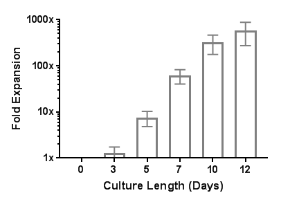 Robust Human T Cell Expansion with ImmunoCult™ Human CD3/CD28 T Cell Activator