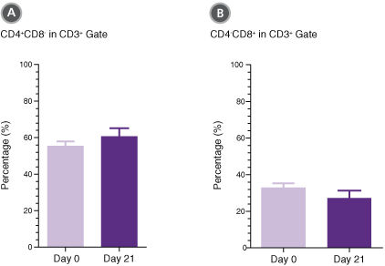 T Cells Expanded in ImmunoCult™-XF T Cell Expansion Medium Show Similar Proportions of CD4+ and CD8+ Cells as T Cells at the Start of Culture