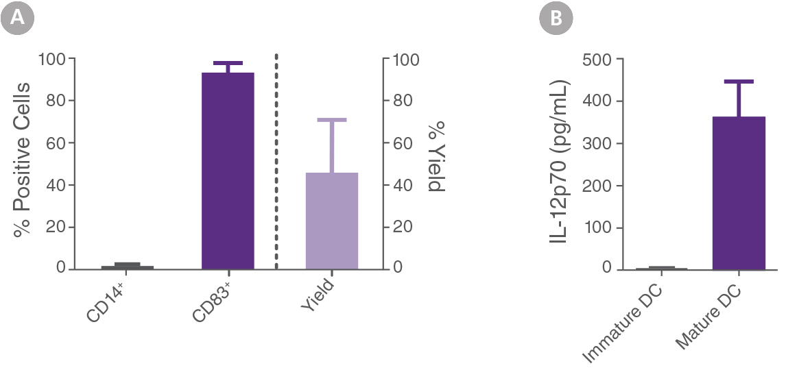 Start: 54% CD4+CXCR3-CCR6+ T Cells