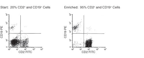 FACS Profile Results Using RosetteSep™ Human Total Lymphocyte Enrichment Cocktail