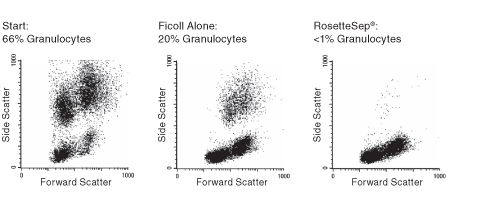 FACS Profile Results Using RosetteSep™ Human Granulocyte Depletion Cocktail