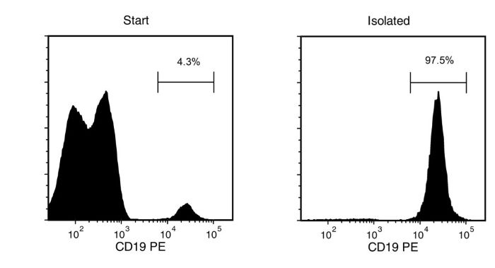 Typical EasySep™ Human CD19 Positive Selection Profile