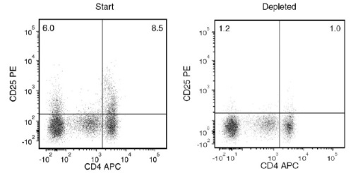 CD25 cell depletion results using EasySep™