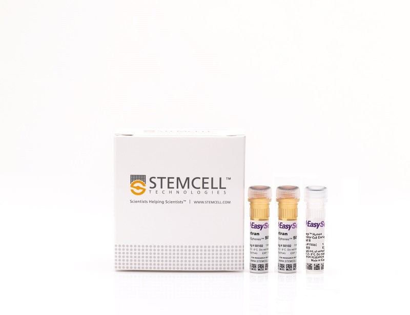 EasySep™ Human Progenitor Cell Enrichment Kit II