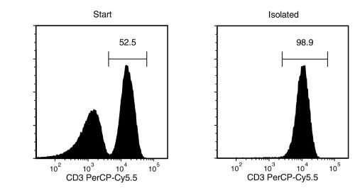 T Cell Separation using EasySep™ Human T Cell Isolation Kit