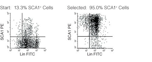 FACS Profile Results with EasySep™ Mouse SCA1 Selection Kit