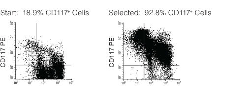 FACS Profile Results with EasySep™ Mouse CD117 (c-KIT) Positive Selection Kit