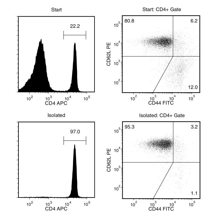 Typical EasySep™ Mouse CD4+CD62L+ T Cell Isolation Profile