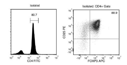 FACS Histogram Results with EasySep™ Mouse CD4+CD25+ Regulatory T Cell Isolation Kit II