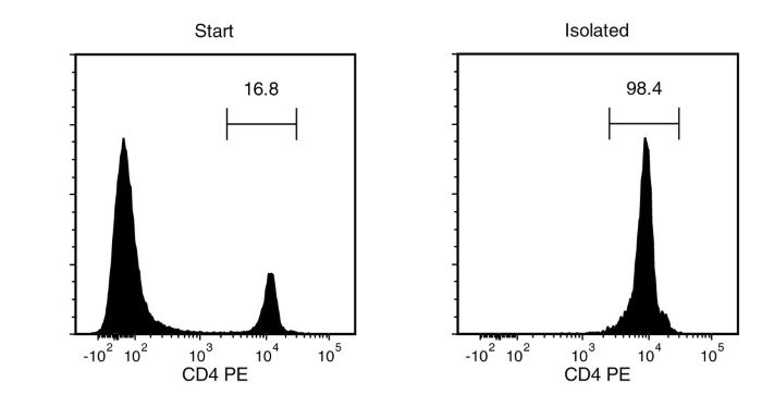 Typical EasySep™ CD4 Positive Selection Profile