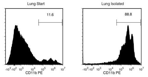 Typical EasySep™ Mouse CD11b Positive Selection Profile from Mouse Lung Tissue