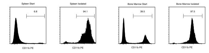 Typical EasySep™ Mouse CD11b Positive Selection Profile from Mouse Spleen and Bone Marrow